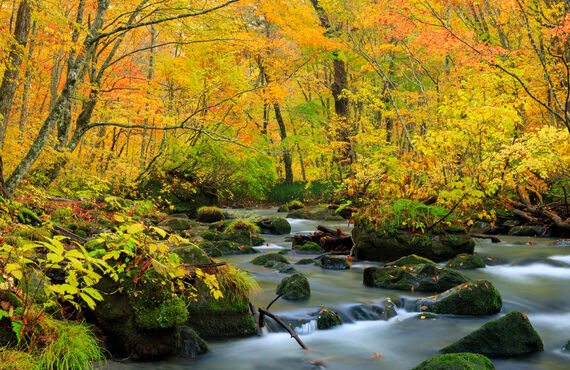 経験者大歓迎！ハイキングツアーなども！一宮周辺でツアーコンダクターとして働くならアドバンス