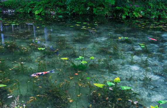 未経験から東海道五十三次のツアーコンダクターに！岐阜近郊で募集中！株式会社アドバンス