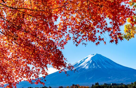 一宮周辺のツアーコンダクター経験者必見！東海道五十三次などツアーは多種多様！名古屋のアドバンス