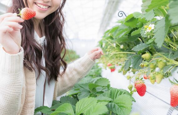 未経験ＯＫ！春日井で仕事探すならツアーコンダクターになろう！名古屋の派遣会社アドバンス