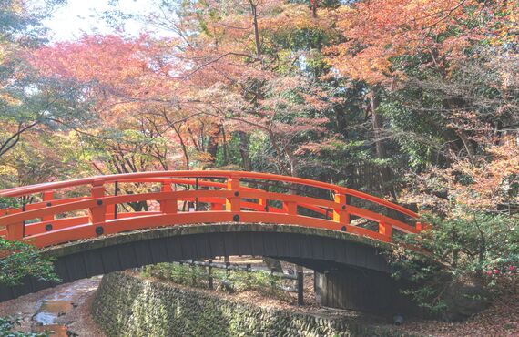 春日井周辺のツアーコンダクター経験者必見！東海道五十三次などツアーは多種多様！名古屋のアドバンス