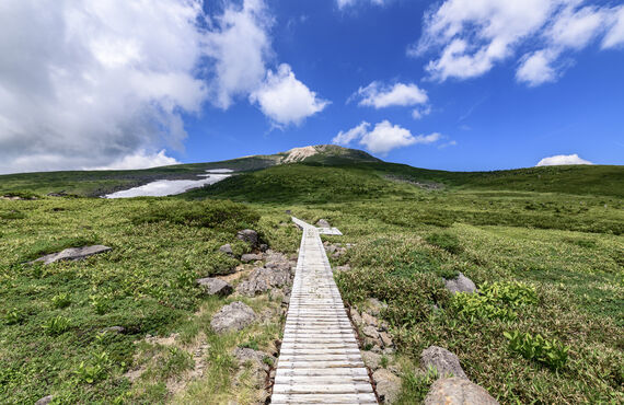 経験者大歓迎！鈴鹿周辺でハイキングツアーなど添乗員募集中！