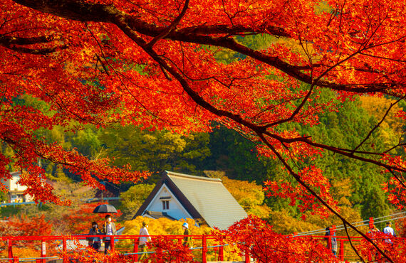 鈴鹿周辺の経験者必見！ 東海道五十三次など　株式会社アドバンス